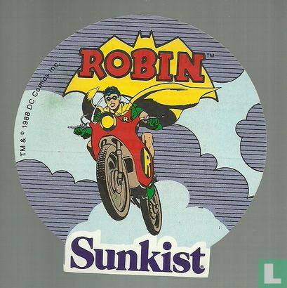 Robin - Bild 1