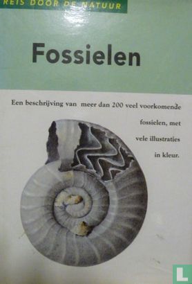 Fossielen  - Bild 1
