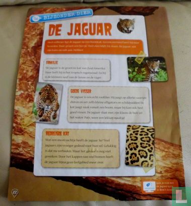 Bijzonder dier: De Jaguar - Afbeelding 1