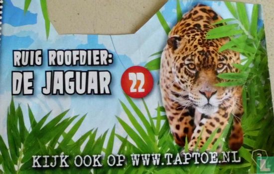 Ruig roofdier: De Jaguar