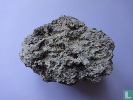 Gris corail petit - Image 3