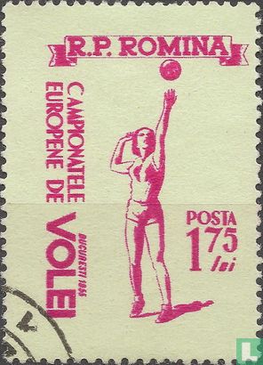 Europees volleybalkampioenschap