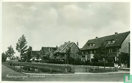 Kastanjesingel, Schiebroek - Afbeelding 1