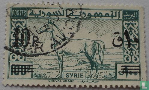 Étalon arabe