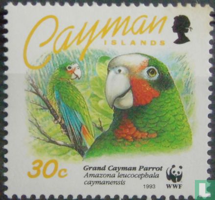 WWF - Cayman amazone