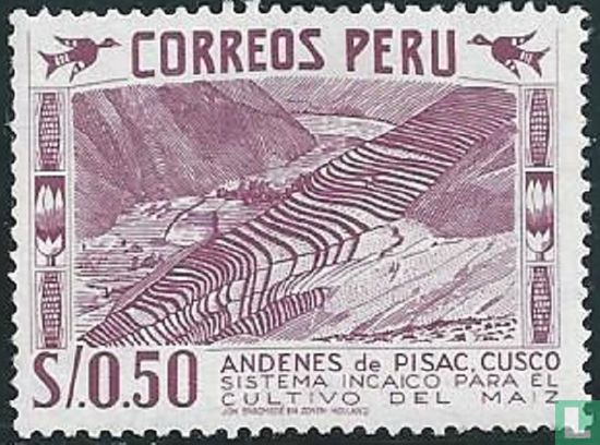Inca Maïs Terras