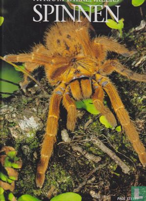 Spinnen - Image 1