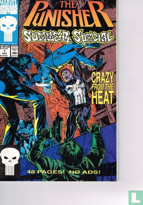 Punisher: Summer Special 1 - Image 1