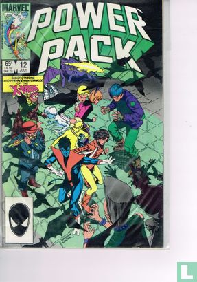 Power Pack 12 - Image 1