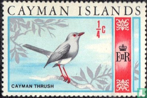 Cayman Thrush - Image 1