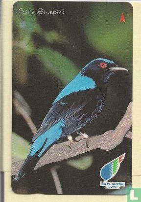 Fairy Bluebird - Afbeelding 1