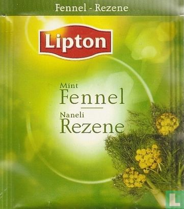 Fennel - Image 1