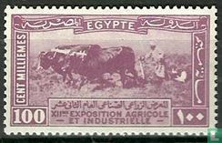 12th Agriculture and Industry Exhibition