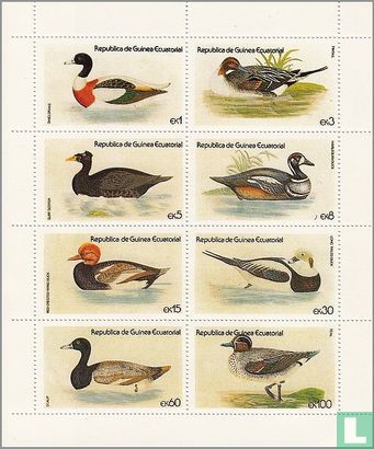 Watervogels