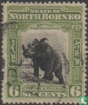 Sumatra-Nashorn