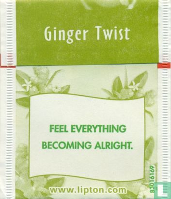 Ginger Twist   - Afbeelding 2