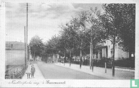Naaldwijksche weg, 's Gravenzande - Image 1