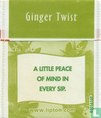 Ginger Twist     - Afbeelding 2