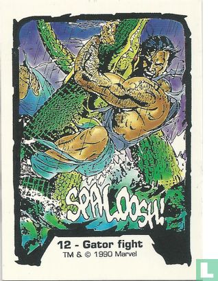 Gator fight
