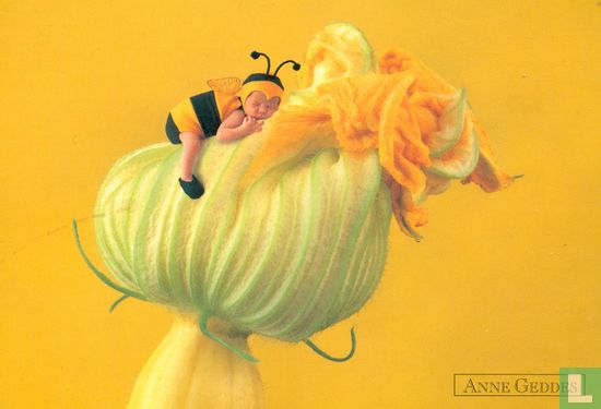 Baby Bee on a pumpkin flower - Afbeelding 1