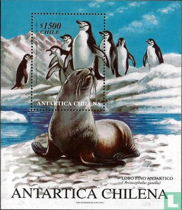 Antarctische Fauna