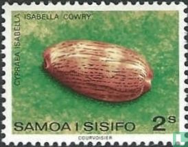 Sea snails and shells 