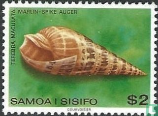 Sea snails and shells   