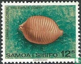 Sea snails and shells  