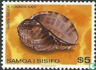 Sea snails and shells     