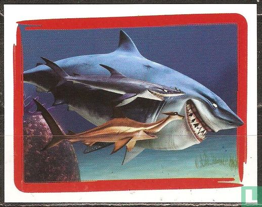 Requins - Bild 1