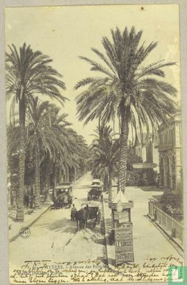 Avenue des Palmiers