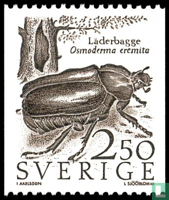 Hermit beetle (Osmoderma eremita)