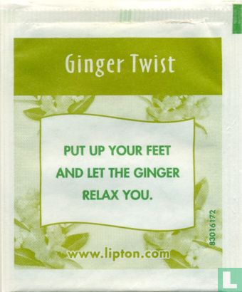 Ginger Twist - Afbeelding 2