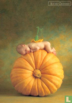 Anne Geddes:Country Pumpkin - Afbeelding 1