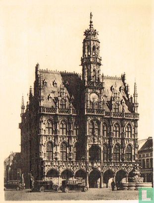 Oudenaarde - Het Stadhuis - Afbeelding 1