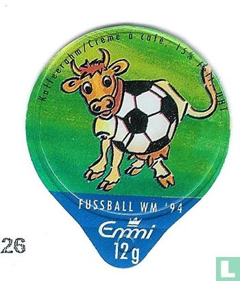 Fussball WM 94     