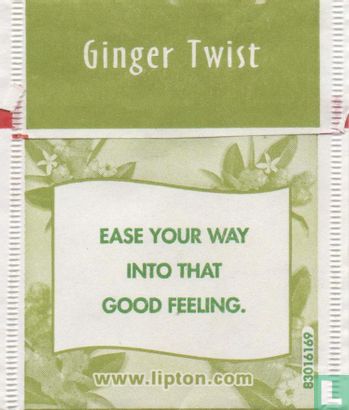 Ginger Twist  - Afbeelding 2