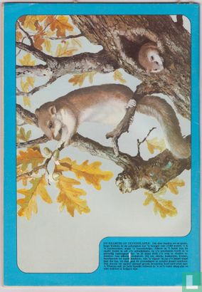 1982 nummer  4 - Image 2