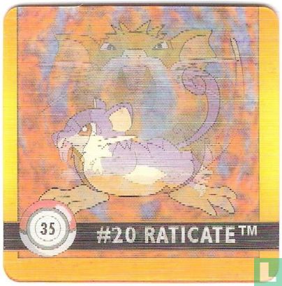 #20 Raticate / #19 Rattata - Image 1