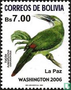 Vögel von La Paz