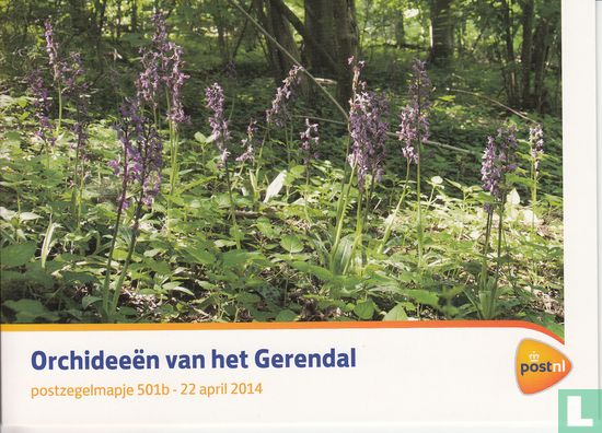 Orchids of the Gerendal  - Image 1