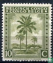 Palms and various topics - Dutch priority 