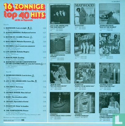 16 zonnige Top 40 hits - Image 2