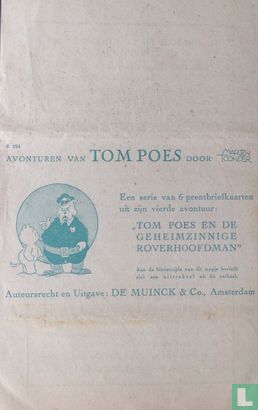 Tom Poes en de geheimzinnige roverhoofdman [leeg] - Afbeelding 1