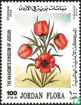 Jordanian flora