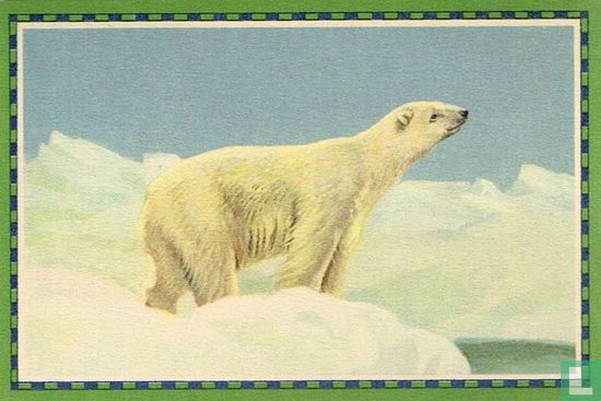L'ours blanc - Image 1