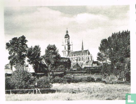 Halle (Prov. Brab.) - Panorama, Kerk - Image 1
