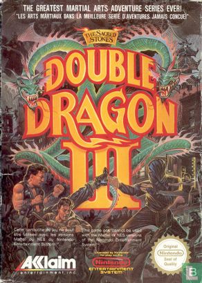 Double Dragon III: The Sacred Stones - Afbeelding 1