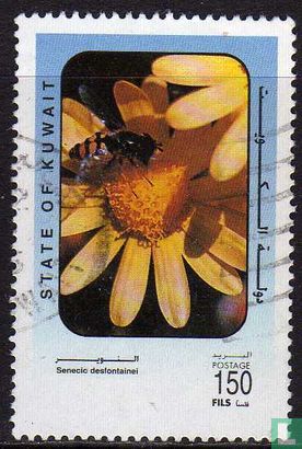 Wild flowers