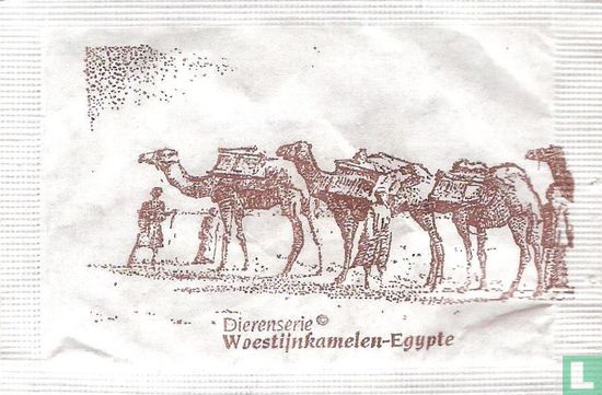 Woestijnkamelen-Egypte - Afbeelding 1